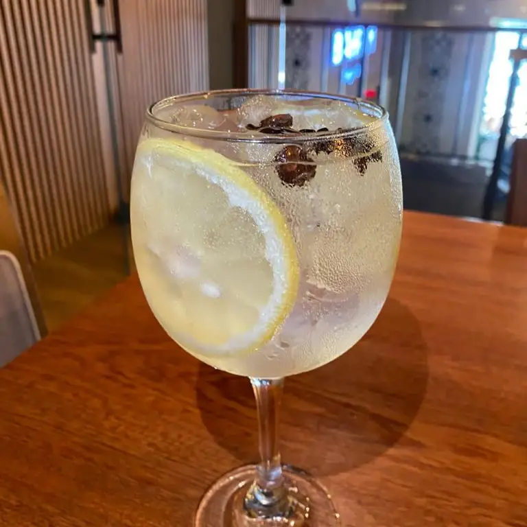 GIN TÔNICA